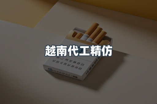 越南代工精仿